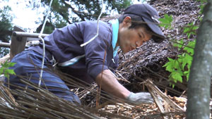 茅葺屋根作業に関わる人たち